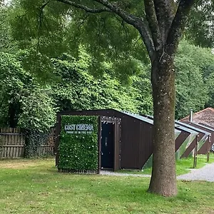  Campsite Cosy Cinema United Kingdom